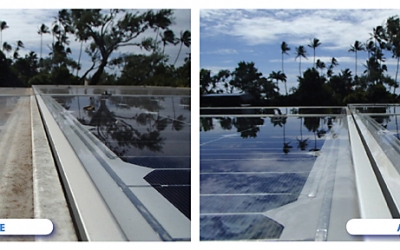 Moldy Solar Hot Water Panels